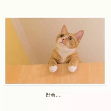 全飞秒激光术