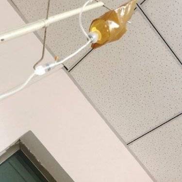皮肤美容
