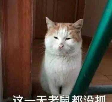 下颌角整形