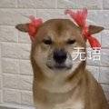 乔乔不吃菠菜
