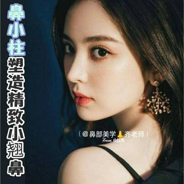 鼻小柱