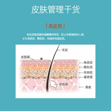 面部护理