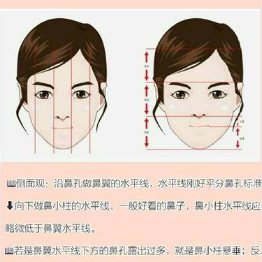 鼻小柱