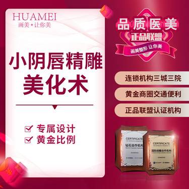 小阴唇精雕美化术改善小阴唇不对称 肥大缩小无需住院随治随走做幸福女人价格 阴唇整形 更美app