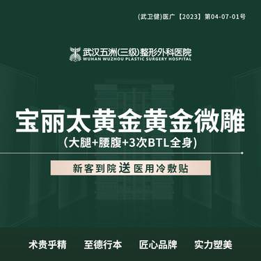 【吸脂】宝丽太黄金微雕 大腿+腰腹+3次BTL全身整形项目图片