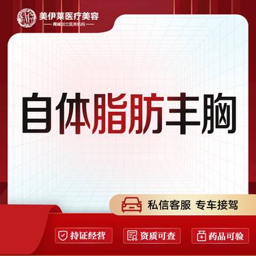 【自体脂肪隆胸】脂肪隆胸  胸部