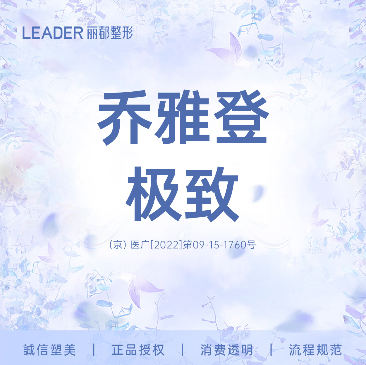 【玻尿酸】[面部轮廓综合套餐] 乔雅登极致0.8mL+乔雅登雅致0.8mL