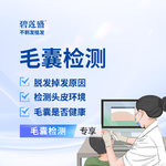 【毛囊检测】毛囊检测+方案设计+毛囊单位评估+脱发等级测定