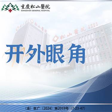 https://heras.igengmei.com/service/2024/07/29/2f35531f19-half