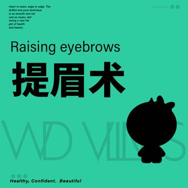 【提眉】提眉术