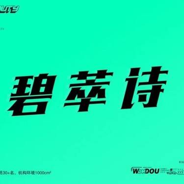 【水光项目】碧翠诗2ml 