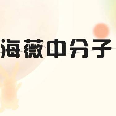 【玻尿酸法令纹】海薇中分子玻尿酸1mL正品可验整形项目图片