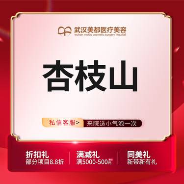 【美白导入】杏枝山 SCA3.0