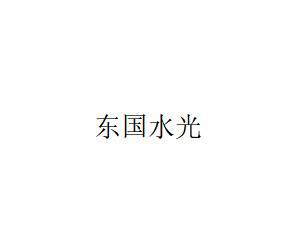 【微针水光】东国水光