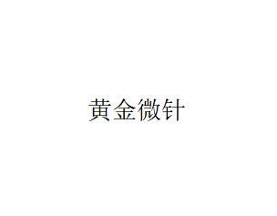 【微针水光】黄金微针