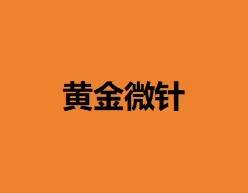【黄金微针】黄金微针