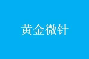 【黄金微针】黄金微针