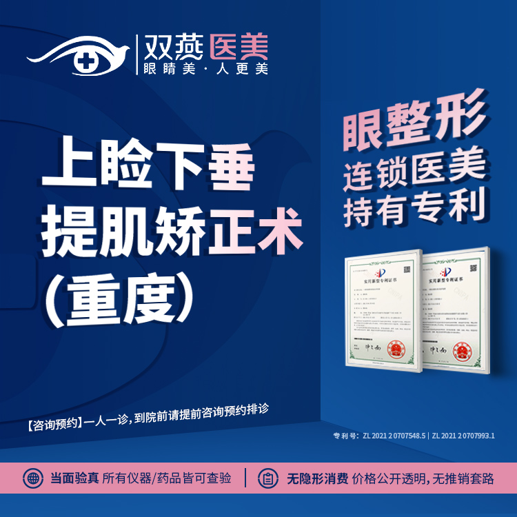 上睑提肌【哈尔滨@马占军】