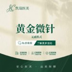 【黄金微针】西弥斯黄金微针 面部无感模式