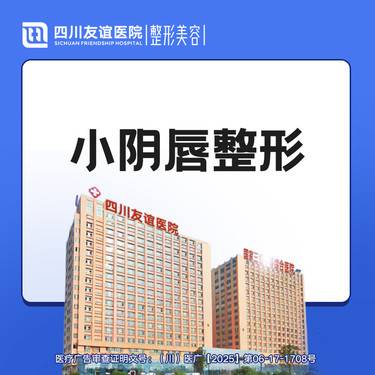 【阴唇整形】 小阴唇成形术  阴唇整形 整形项目图片