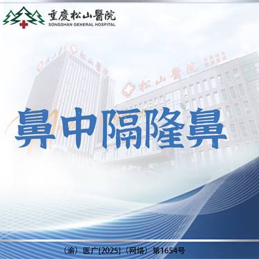 【鼻中隔软骨隆鼻】【专车接/送】鼻中隔软骨隆鼻 详情请咨询客服