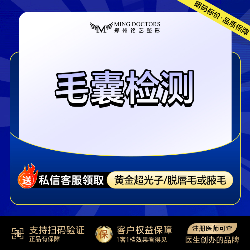 毛囊检测【郑州@陈涛】