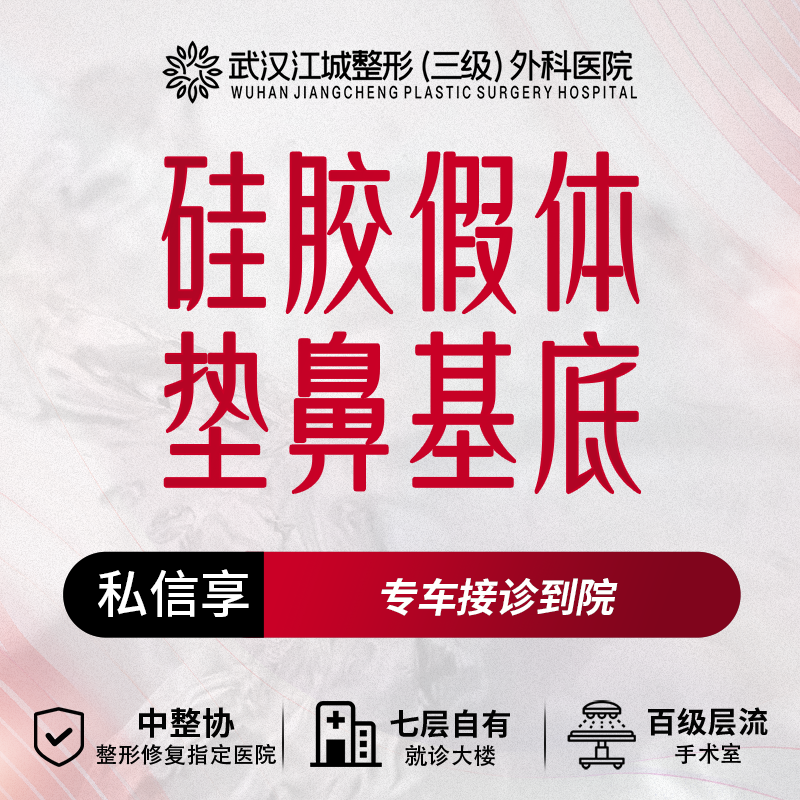 硅胶垫鼻基底【武汉@刘骏】