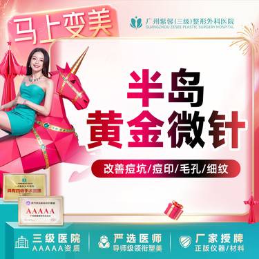 【黄金微针】半岛黄金微针去痘印痘坑 改善皮肤