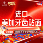 【牙齿瓷贴面】【美加牙齿贴面】牙贴面 I 进口材料