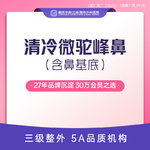 【肋骨鼻综合】清冷微驼峰鼻（含鼻基底） 半肋+美国膨体+鼻基底+美学症状 案例价 肋软骨鼻综合