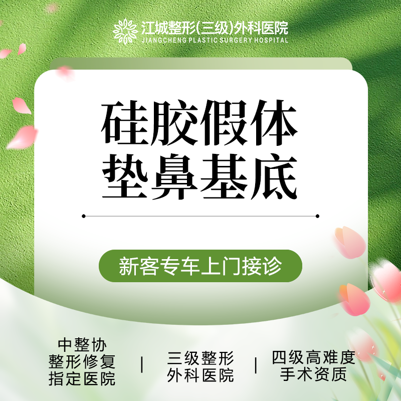 硅胶垫鼻基底【武汉@刘骏】