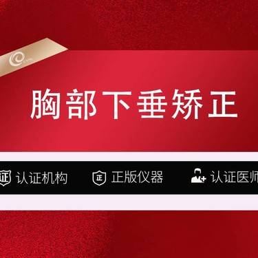 【胸部下垂矫正】胸部下垂矫正 哺乳后下垂松弛 胸部提升整形项目图片