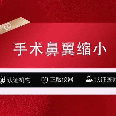 【鼻翼缩小】内外鼻翼（内切鼻翼-外切鼻翼）2选1-鼻翼缩小手术--------