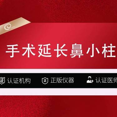 【鼻小柱延长】手术延长鼻小柱-自体软骨整形项目图片