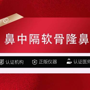 【鼻中隔软骨隆鼻】私信免检查药费-车费报销-鼻综合多项-鼻修复手术------