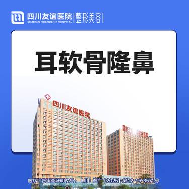 【鼻部多项】自体耳软骨隆鼻2项 