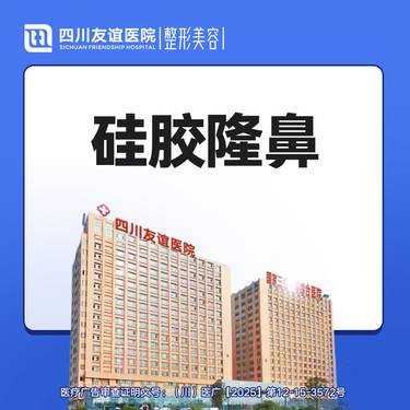 【硅胶隆鼻】假体隆鼻术整形项目图片